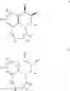 Fig. 08 - METHODS FOR MODULATING BLADDER FUNCTION