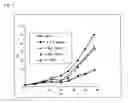 Fig. 02 - RADIOTHERAPY ENHANCER