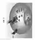 Fig. 02 - INHIBITORS OF C-KIT AND USES THEREOF