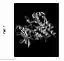 Fig. 03 - INHIBITORS OF C-KIT AND USES THEREOF