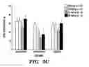 Fig. 06 - Use of ibogamine congeners for treating obesity
