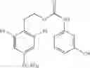 Fig. 238 - MACROCYCLIC FACTOR VIIA INHIBITORS USEFUL AS ANTICOAGULANTS