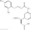 Fig. 248 - MACROCYCLIC FACTOR VIIA INHIBITORS USEFUL AS ANTICOAGULANTS