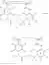 Fig. 27 - MACROCYCLIC FACTOR VIIA INHIBITORS USEFUL AS ANTICOAGULANTS