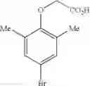 Fig. 435 - MACROCYCLIC FACTOR VIIA INHIBITORS USEFUL AS ANTICOAGULANTS