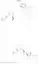 Fig. 104 - Macrocyclic inhibitors of hepatitis C virus