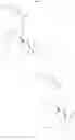 Fig. 108 - Macrocyclic inhibitors of hepatitis C virus
