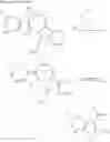 Fig. 08 - ALLOSTERIC ENHANCERS OF THE A1 ADENOSINE RECEPTOR