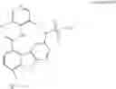 Fig. 26 - PROCESS FOR THE PREPARATION OF N-(3,5-DICHLOROPYRID-4-YL)-4-DIFLUOROMETHOXY-8-METHANESULFONAMIDO-DIBENZO[B,D]FURAN-1-CARBOXAMIDE