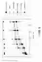 Fig. 04 - METHOD OF TREATING OF DEMYELINATING DISEASES OR CONDITIONS
