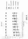 Fig. 05 - METHOD OF TREATING OF DEMYELINATING DISEASES OR CONDITIONS