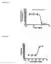 Fig. 03 - Amine derivative compounds for treating ophthalmic diseases and disorders