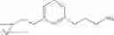 Fig. 203 - Amine derivative compounds for treating ophthalmic diseases and disorders
