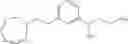 Fig. 496 - Amine derivative compounds for treating ophthalmic diseases and disorders