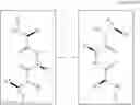 Fig. 04 - Dimeric small molecule potentiators of apoptosis