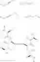 Fig. 11 - Dimeric small molecule potentiators of apoptosis