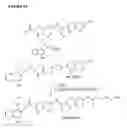 Fig. 05 - Prodrugs of CC-1065 analogs