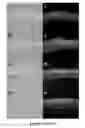 Fig. 04 - REGULATORY ELEMENTS THAT MEDIATE RETINAL CELL-SPECIFIC GENE EXPRESSION
