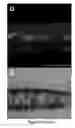Fig. 09 - REGULATORY ELEMENTS THAT MEDIATE RETINAL CELL-SPECIFIC GENE EXPRESSION
