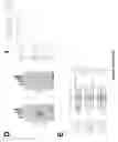 Fig. 18 - REGULATORY ELEMENTS THAT MEDIATE RETINAL CELL-SPECIFIC GENE EXPRESSION