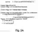 Fig. 03 - Antisense oligonucleotide against human acetylcholinesterase (AChE) and uses thereof