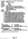 Fig. 08 - Antisense oligonucleotide against human acetylcholinesterase (AChE) and uses thereof