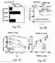 Fig. 13 - Antisense oligonucleotide against human acetylcholinesterase (AChE) and uses thereof