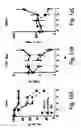 Fig. 16 - Antisense oligonucleotide against human acetylcholinesterase (AChE) and uses thereof