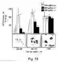 Fig. 19 - Antisense oligonucleotide against human acetylcholinesterase (AChE) and uses thereof
