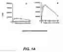 Fig. 02 - POLYNUCLEOTIDE THERAPY