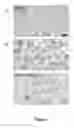 Fig. 03 - Compounds for lysosomal modulation and methods of use