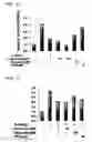 Fig. 03 - Pharmaceutical composition for treating or preventing degenerative and inflammatory diseases