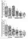Fig. 07 - Pharmaceutical composition for treating or preventing degenerative and inflammatory diseases