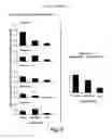 Fig. 06 - NOVEL ATTRACT AND KILL COMPOSITION FOR CONTROL OF PEST INSECTS