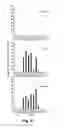 Fig. 07 - NOVEL ATTRACT AND KILL COMPOSITION FOR CONTROL OF PEST INSECTS