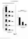Fig. 08 - NOVEL ATTRACT AND KILL COMPOSITION FOR CONTROL OF PEST INSECTS