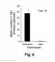 Fig. 09 - NOVEL ATTRACT AND KILL COMPOSITION FOR CONTROL OF PEST INSECTS