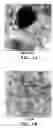 Fig. 02 - PROCESS FOR MAKING NANOCOMPOSITES