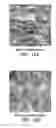 Fig. 09 - PROCESS FOR MAKING NANOCOMPOSITES