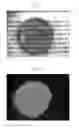 Fig. 04 - Nanocrystal-polydimethylsiloxane composite and preparation method thereof
