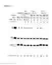 Fig. 07 - Versatile acylation catalytic RNAs and uses thereof