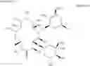 Fig. 232 - 10a-Azalide compound