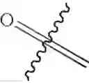 Fig. 271 - 10a-Azalide compound