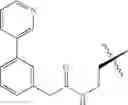Fig. 44 - 10a-Azalide compound