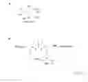 Fig. 02 - PROCESS FOR THE PRODUCTION OF CONJUGATES FROM POLYSACCHARIDES AND POLYNUCELOTIDES
