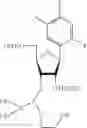 Fig. 77 - Oligonucleotides comprising a modified or non-natural nucleobase
