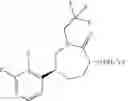 Fig. 09 - Process for the preparation of CGRP antagonist