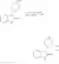 Fig. 30 - Process for the preparation of CGRP antagonist
