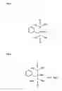 Fig. 02 - Process for the preparation of [1-hydroxy-2-(3-pyridinyl)ethylidene] bisphosphonic acid and hemipentahydrate monosodium salt thereof