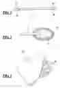 Fig. 02 - Method for treatment of skin diseases and the like